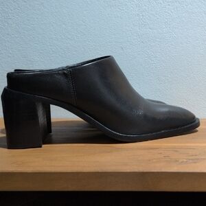 Everlane Black Leather Block Heel Mule